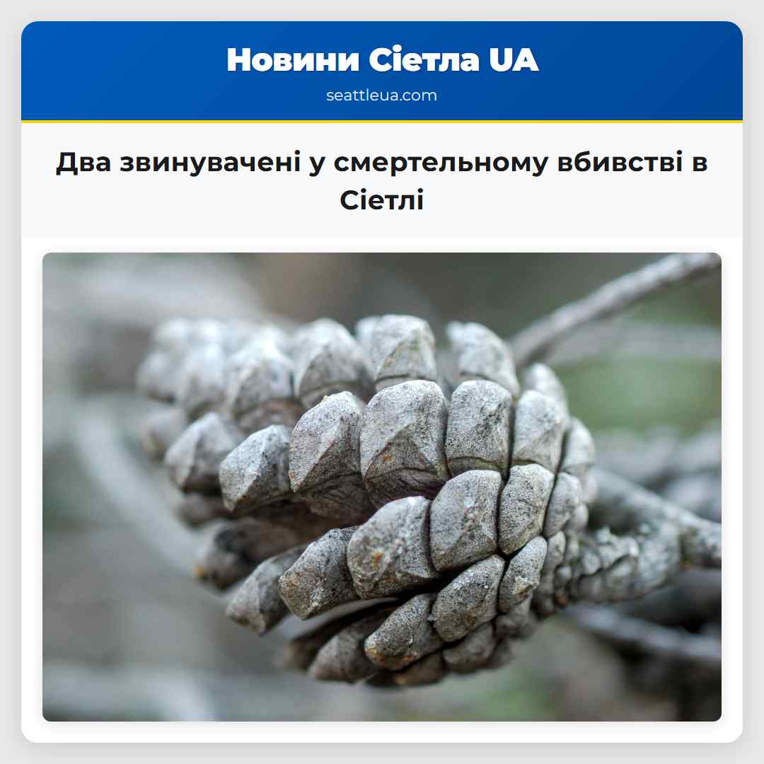 Два звинувачені у смертельному вбивстві в Сіетлі