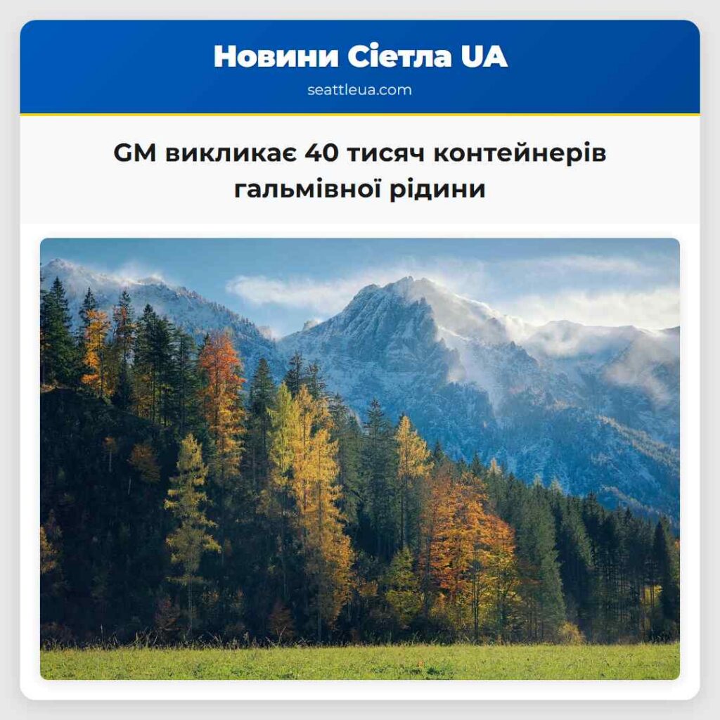 GM викликає 40 тисяч контейнерів гальмівної рідини