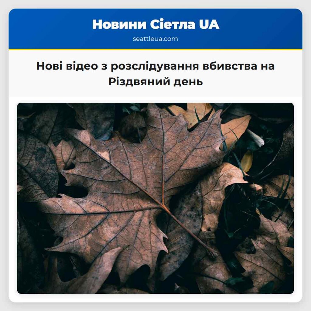 Нові відео з розслідування вбивства на Різдвяний