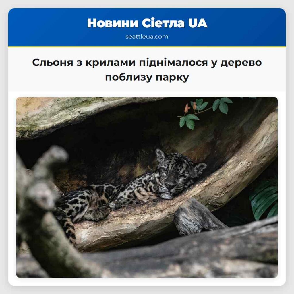 Сльоня з крилами піднімалося у дерево поблизу