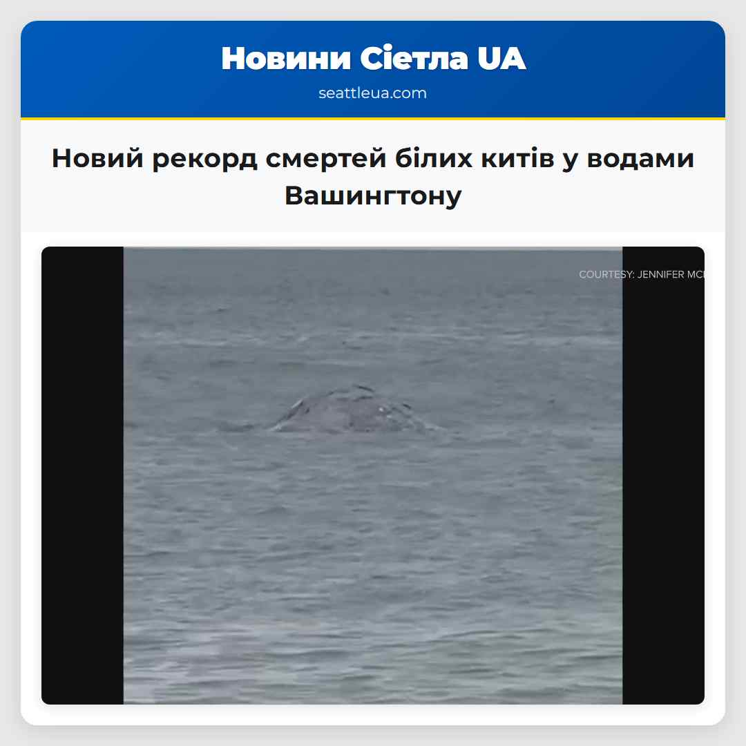 Новий рекорд смертей білих китів у водами