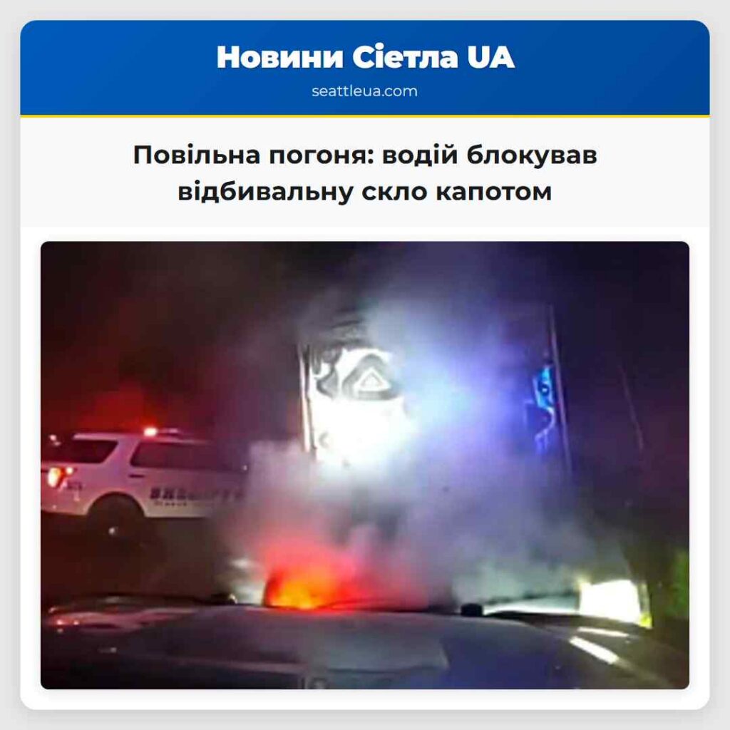 Повільна погоня: водій блокував відбивальну скло