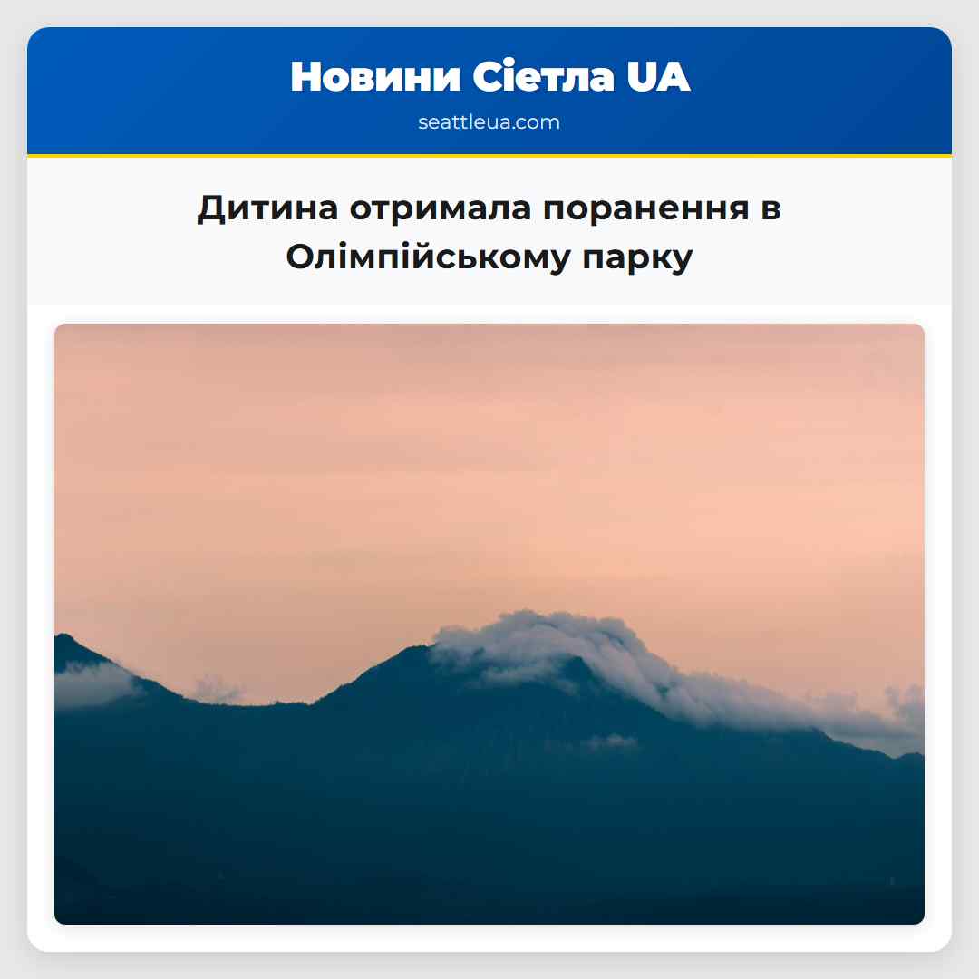 Дитина отримала поранення в Олімпійському парку