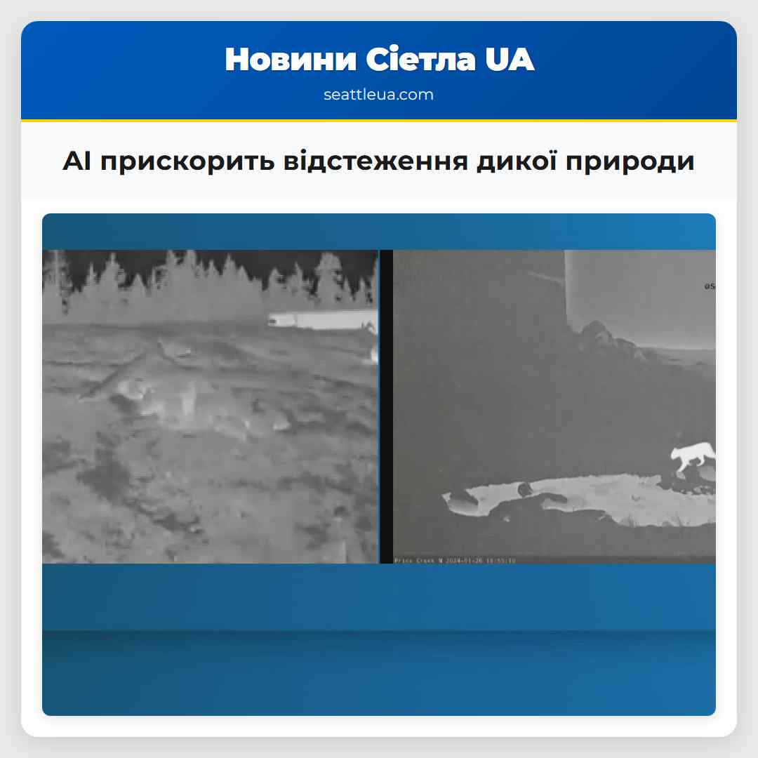 AI прискорить відстеження дикої природи