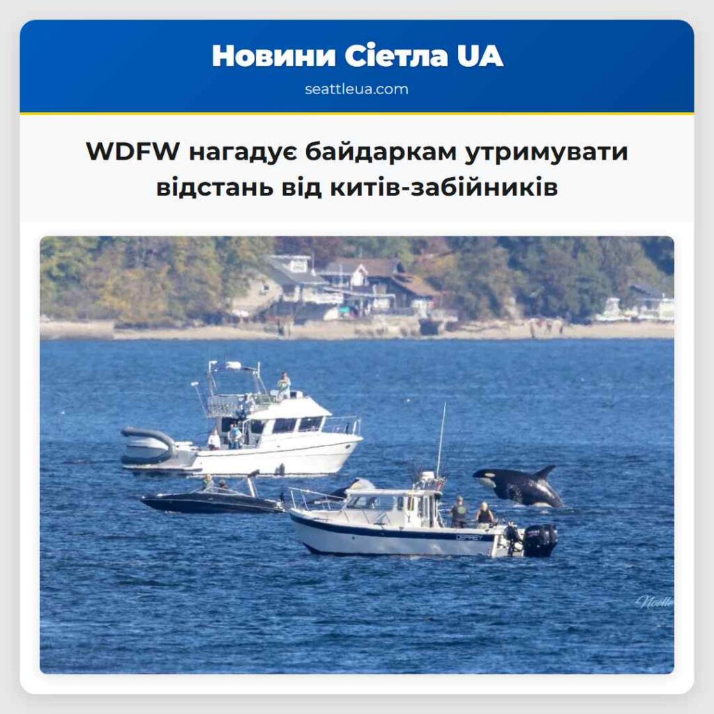 WDFW нагадує байдаркам утримувати відстань від