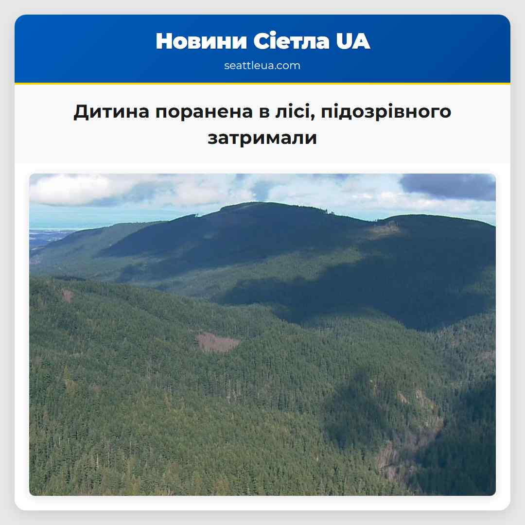 Дитина поранена в лісі підозрівного затримали
