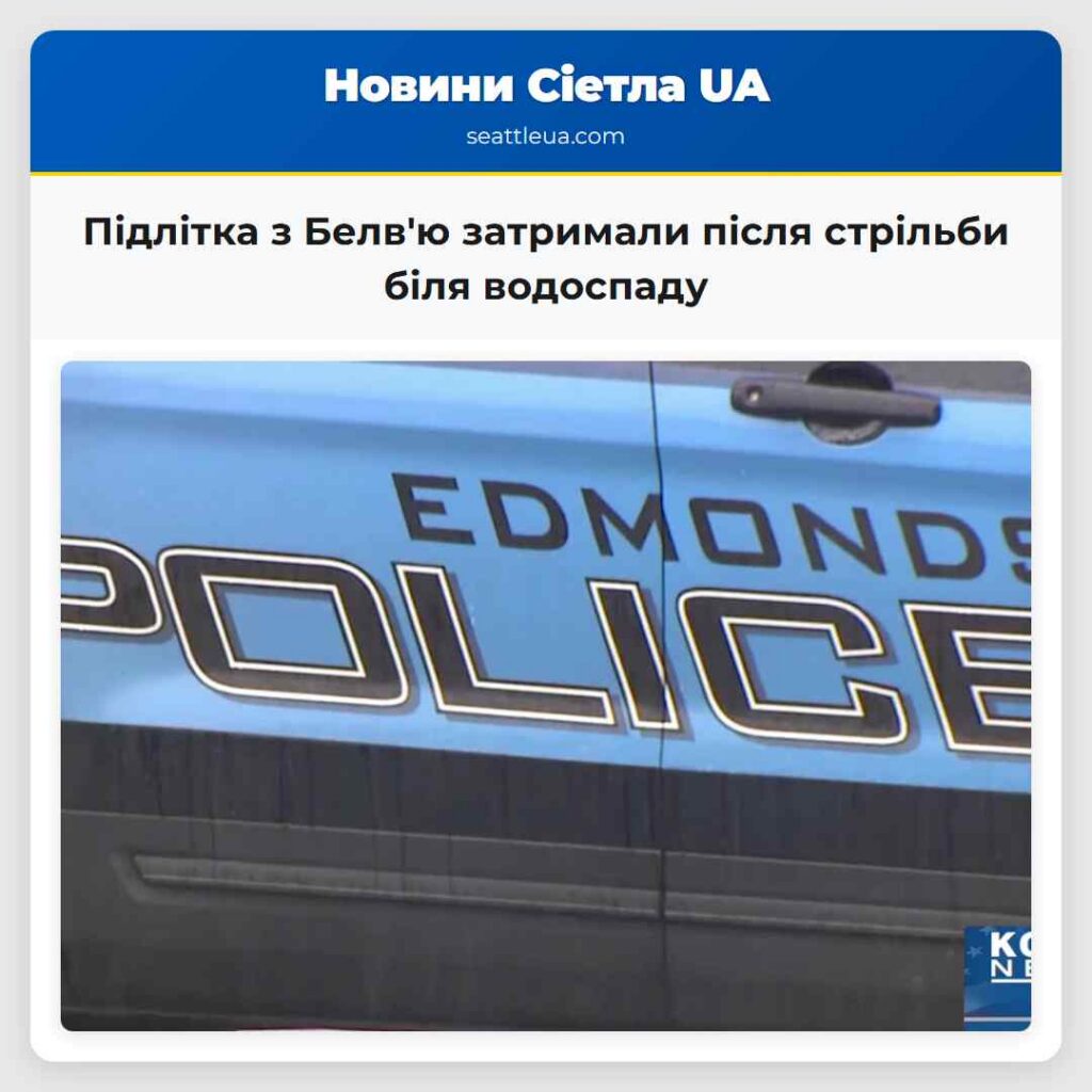 Підлітка з Белв'ю затримали після стрільби біля
