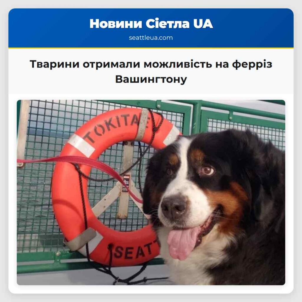 Тварини отримали можливість на ферріз Вашингтону