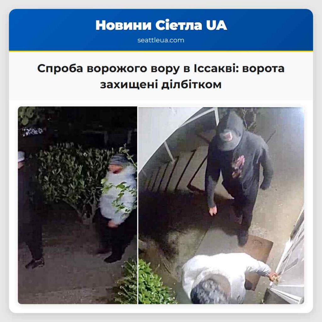 Спроба ворожого вору в Іссакві: ворота захищені