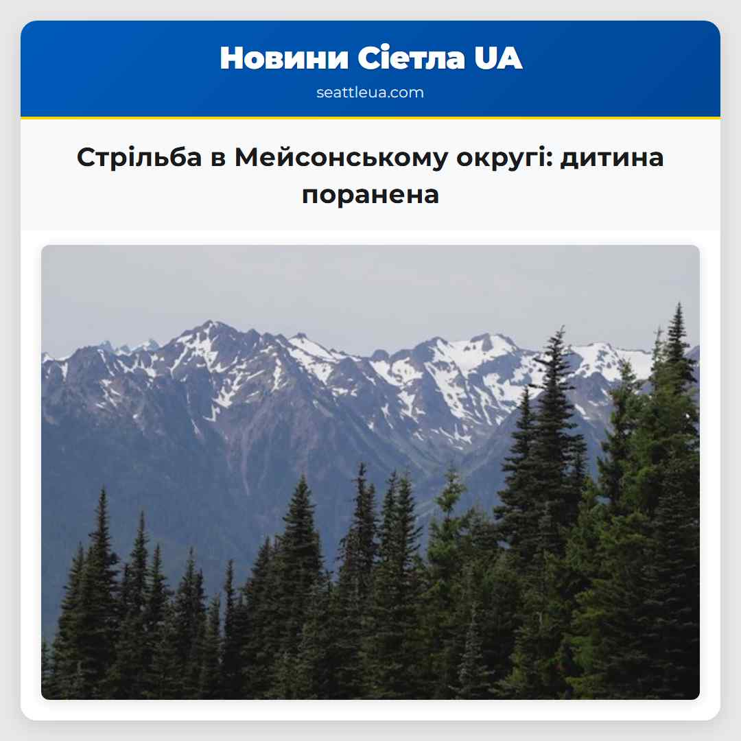 Стрільба в Мейсонському округі дитина поранена