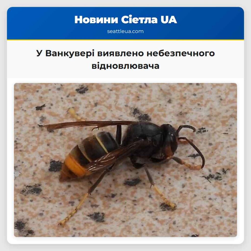 У Ванкувері виявлено небезпечного відновлювача