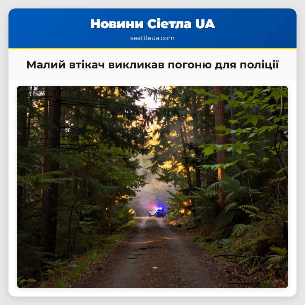 Малий втікач викликав погоню для поліції