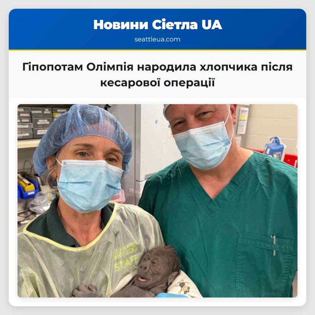 Гіпопотам Олімпія народила хлопчика після