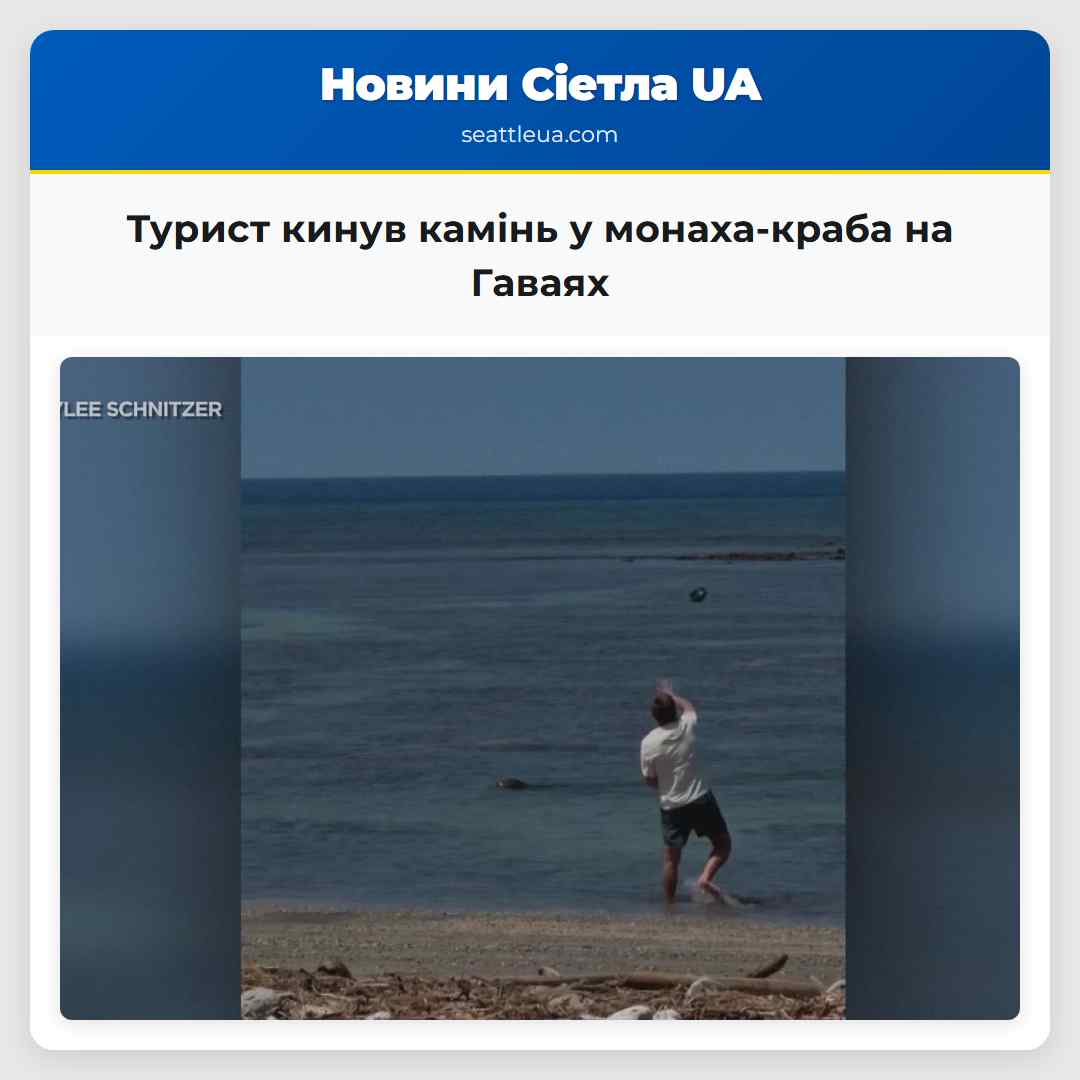 Турист кинув камінь у монаха-краба на Гаваях