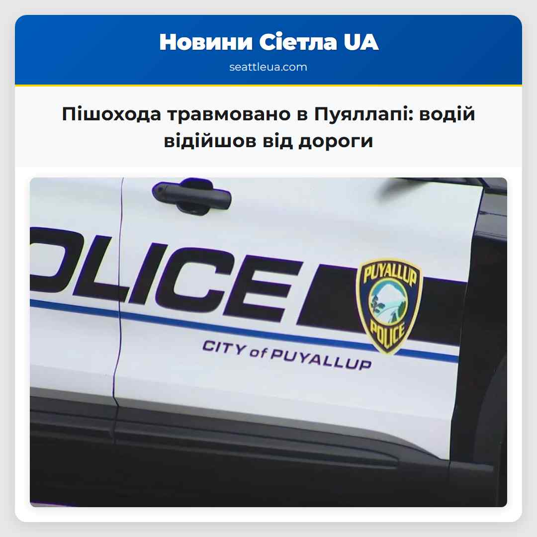 Пішохода травмовано в Пуяллапі водій відійшов від дороги
