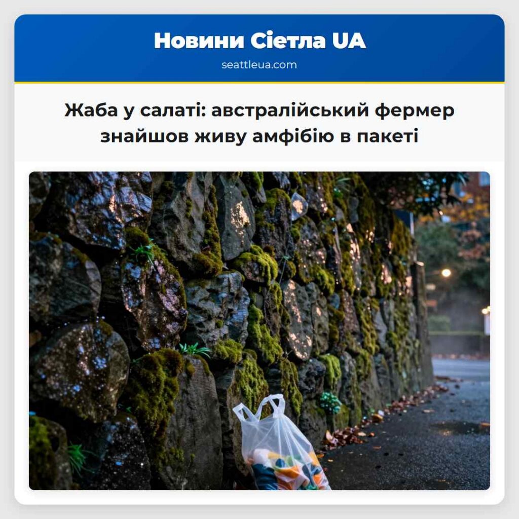Жаба у салаті: австралійський фермер знайшов живу
