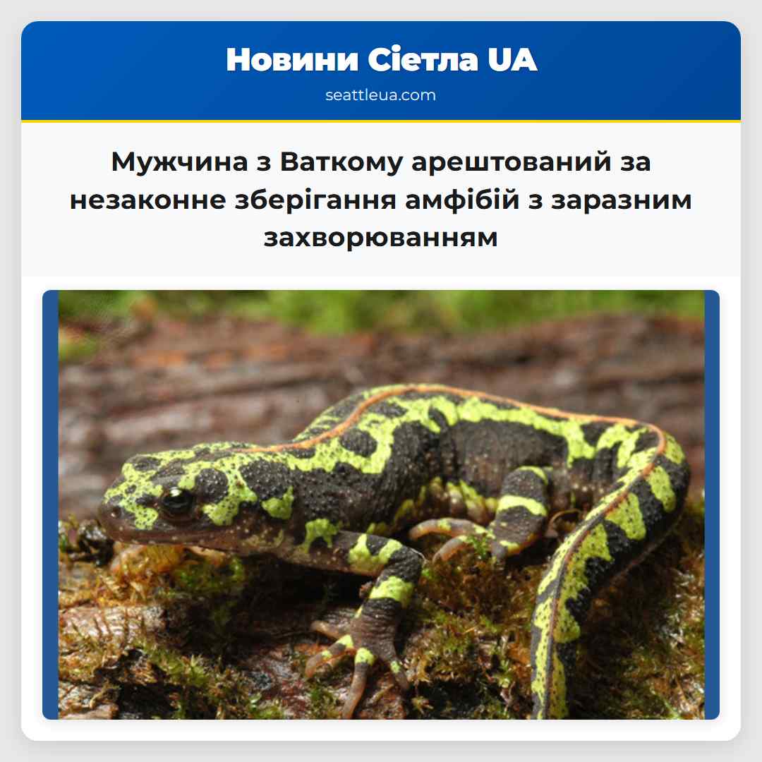 Мужчина з Ваткому арештований за незаконне зберігання амфібій з заразним захворюванням