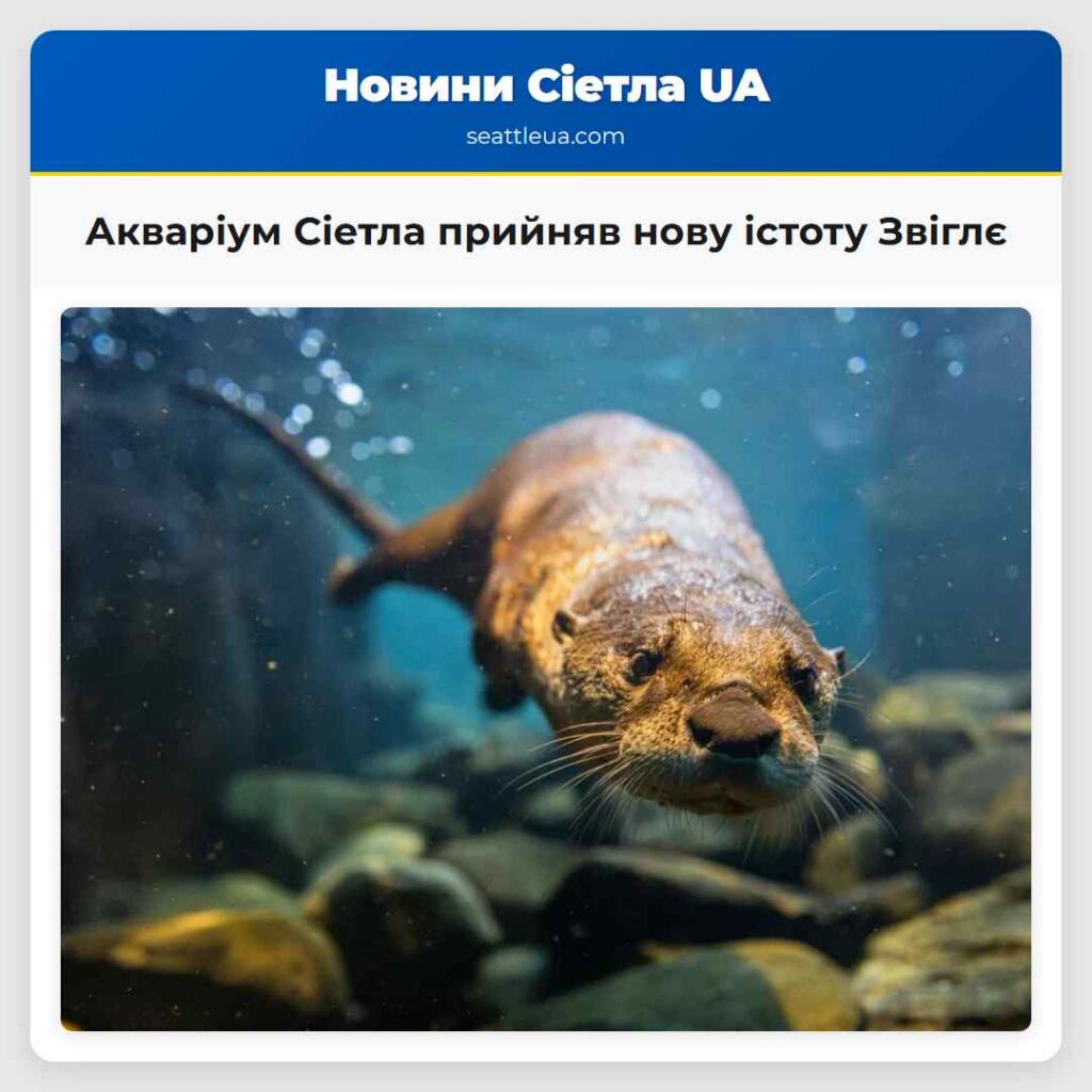 Акваріум Сіетла прийняв нову істоту Звіглє