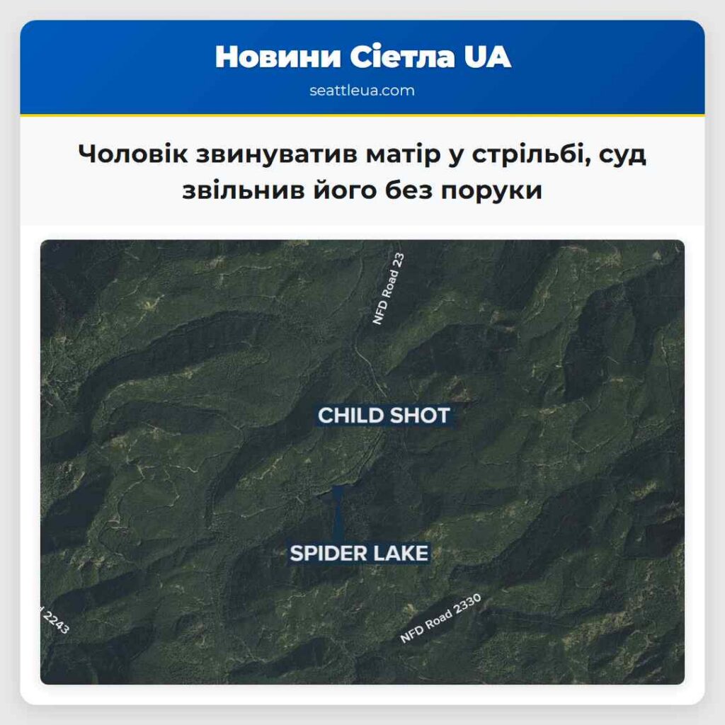 Чоловік звинуватив матір у стрільбі, суд звільнив