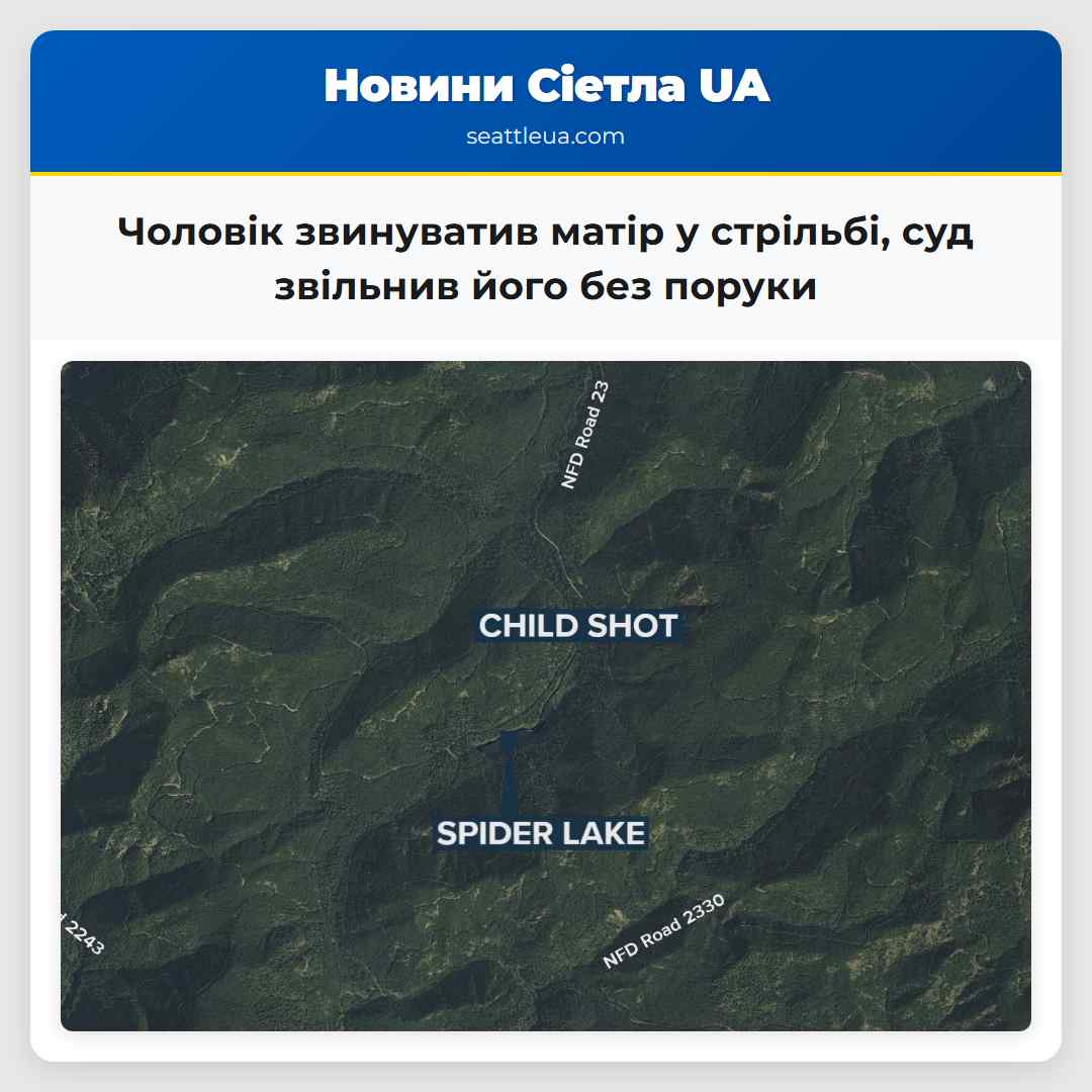 Чоловік звинуватив матір у стрільбі суд звільнив його без поруки