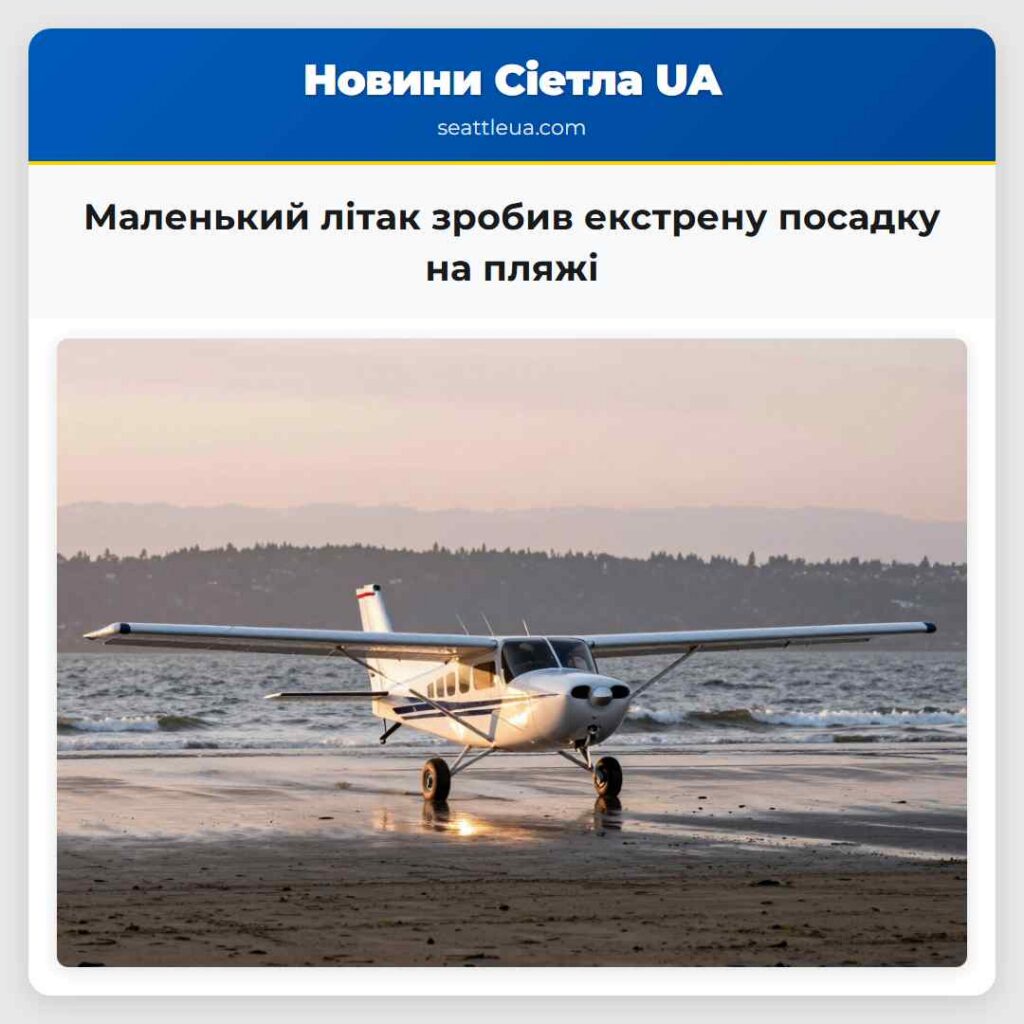 Маленький літак зробив екстрену посадку на пляжі