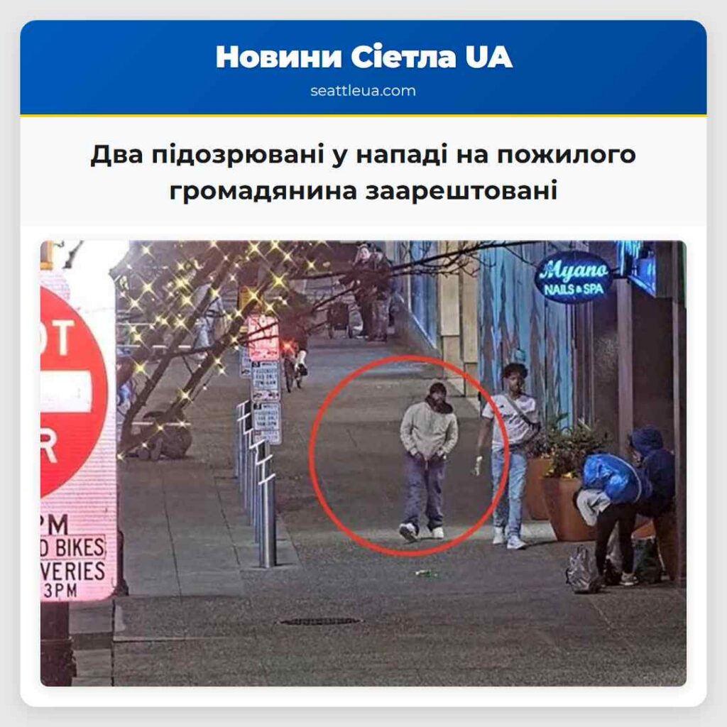 Два підозрювані у нападі на пожилого громадянина