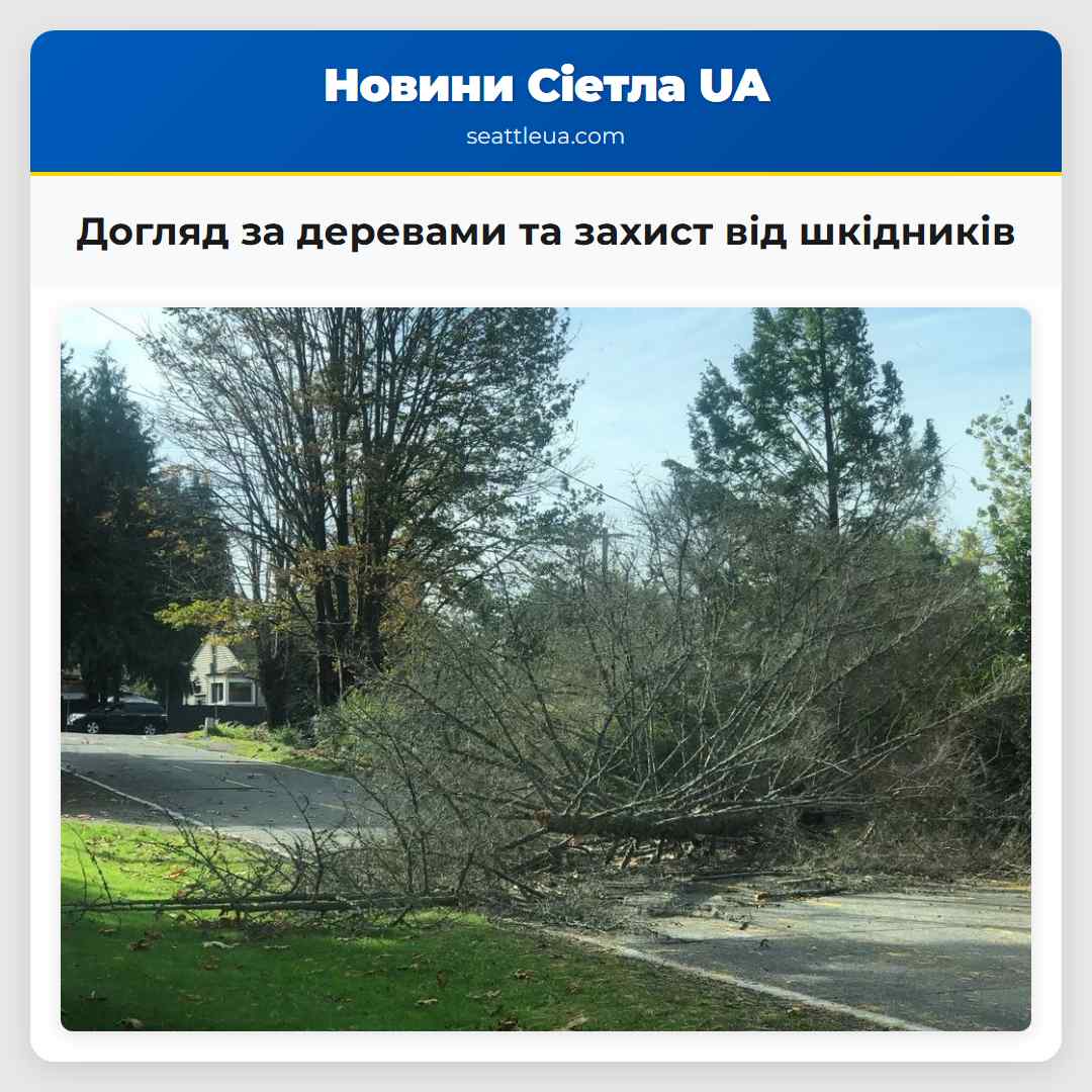 Догляд за деревами та захист від шкідників