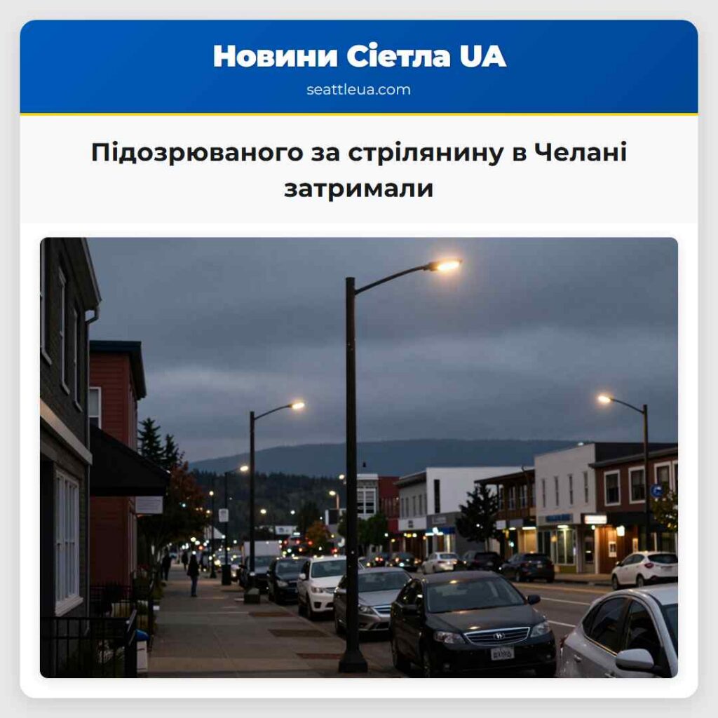 Підозрюваного за стрілянину в Челані затримали