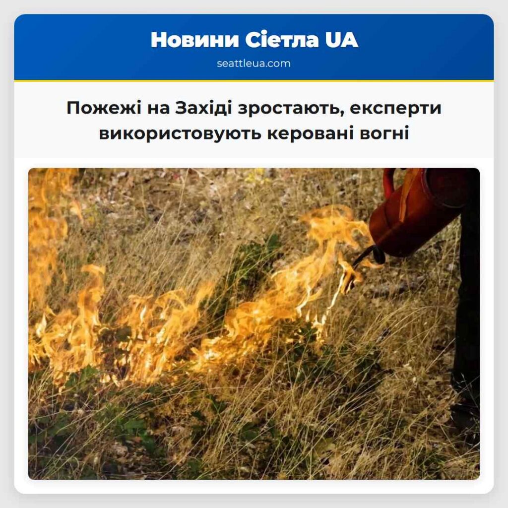 Пожежі на Західі зростають, експерти