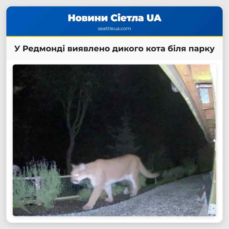 У Редмонді виявлено дикого кота біля парку