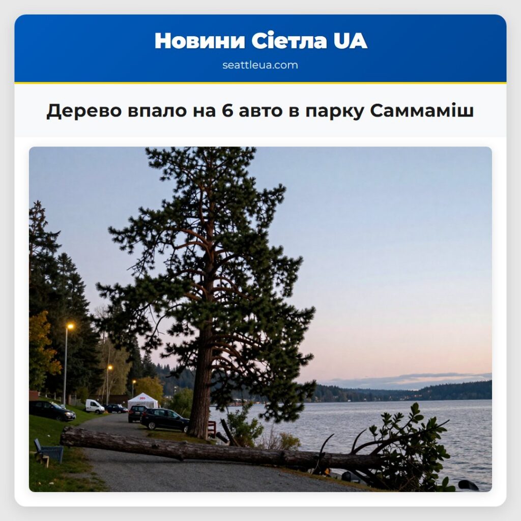 Дерево впало на 6 авто в парку Саммаміш