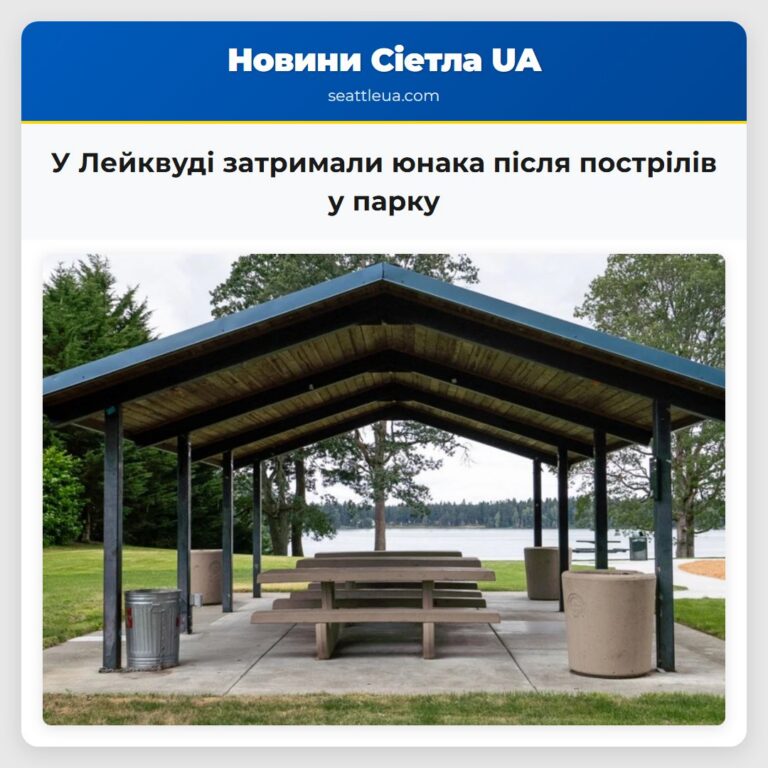 У Лейквуді затримали юнака після пострілів у парку