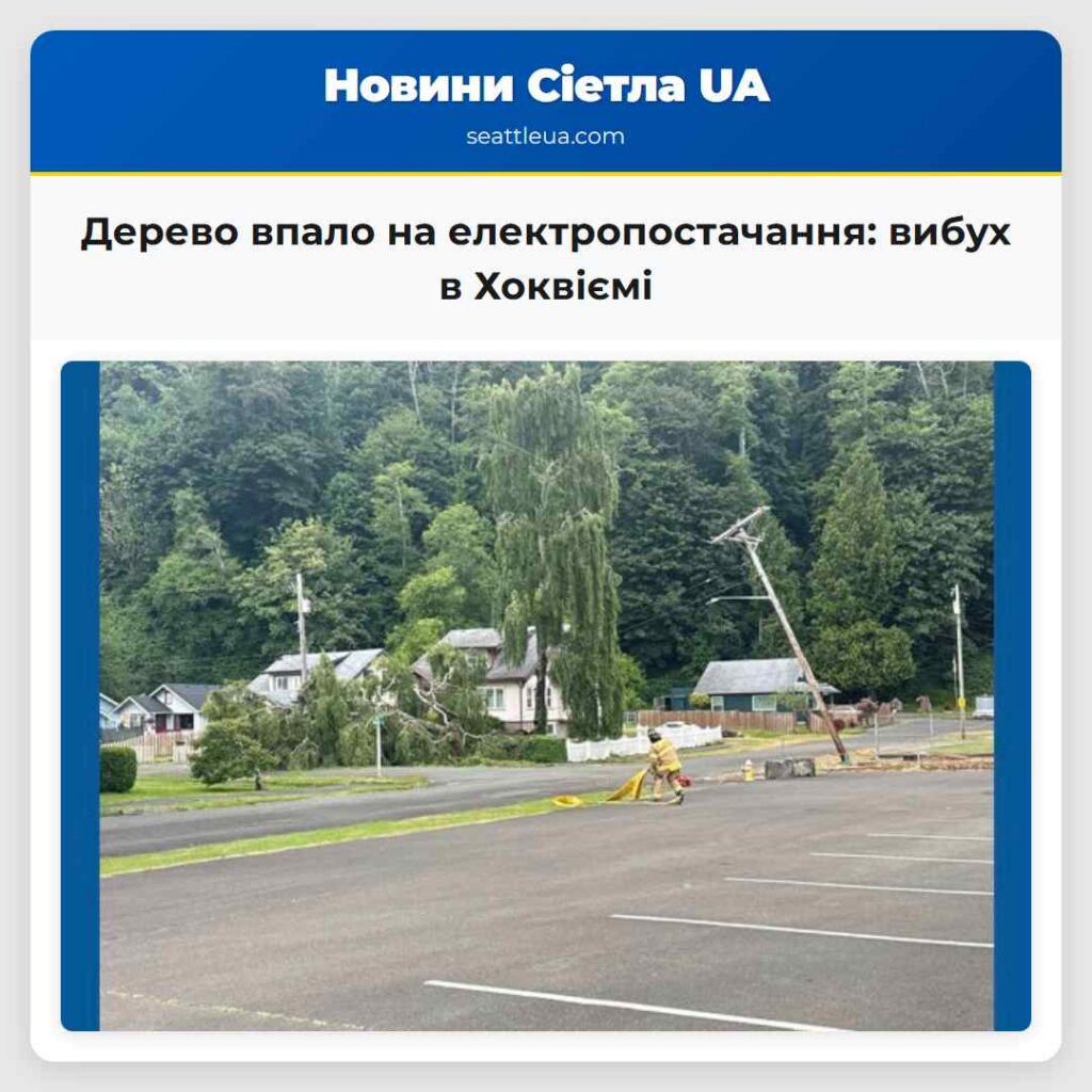 Дерево впало на електропостачання: вибух в