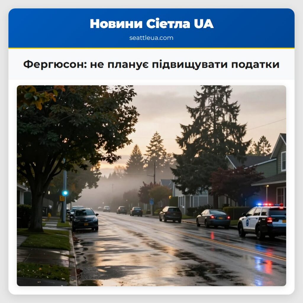 Фергюсон: не планує підвищувати податки