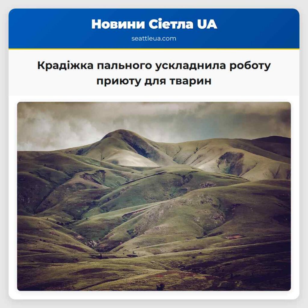 Крадіжка пального ускладнила роботу приюту для