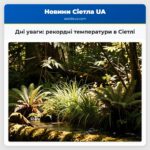 Дні уваги рекордні температури в Сіетлі