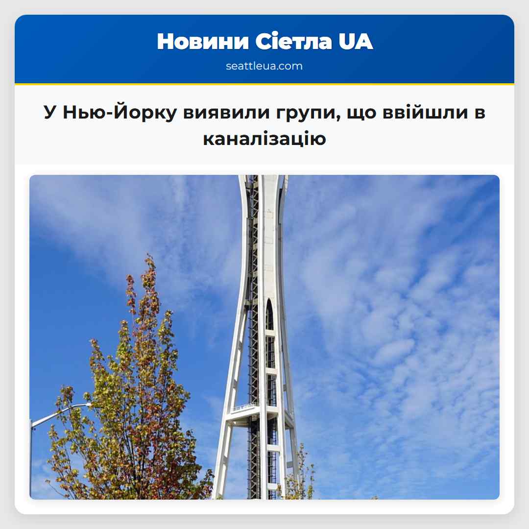 У Нью-Йорку виявили групи, що ввійшли в