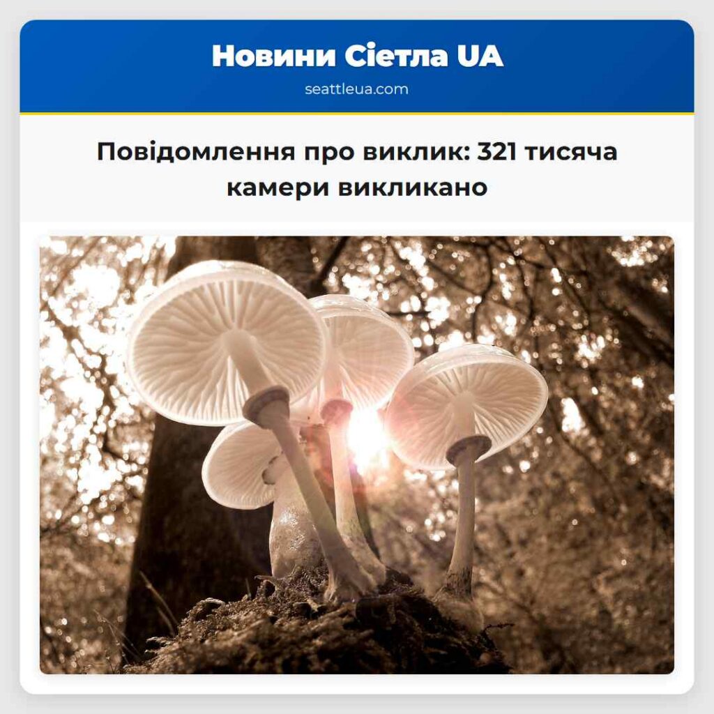 Повідомлення про виклик: 321 тисяча камери