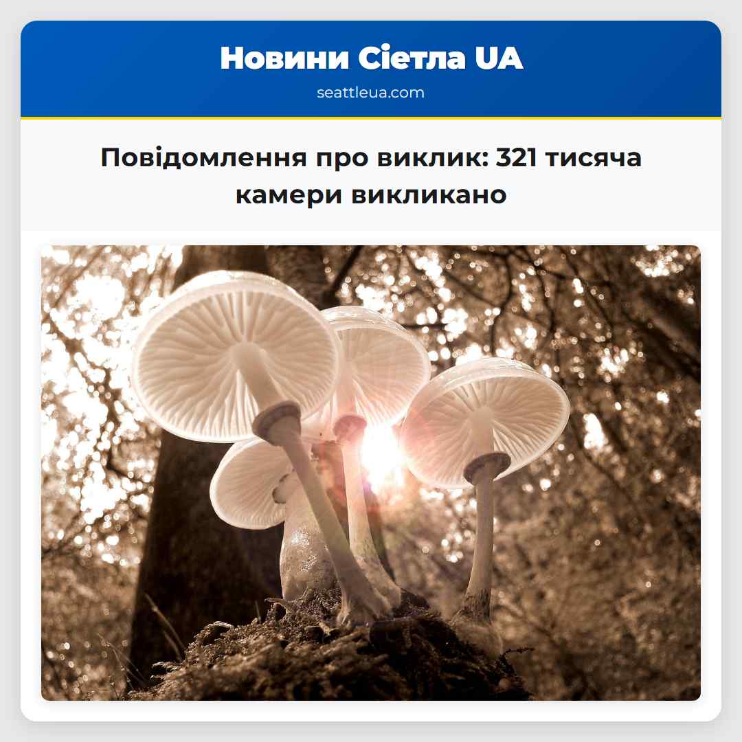 Повідомлення про виклик 321 тисяча камери викликано