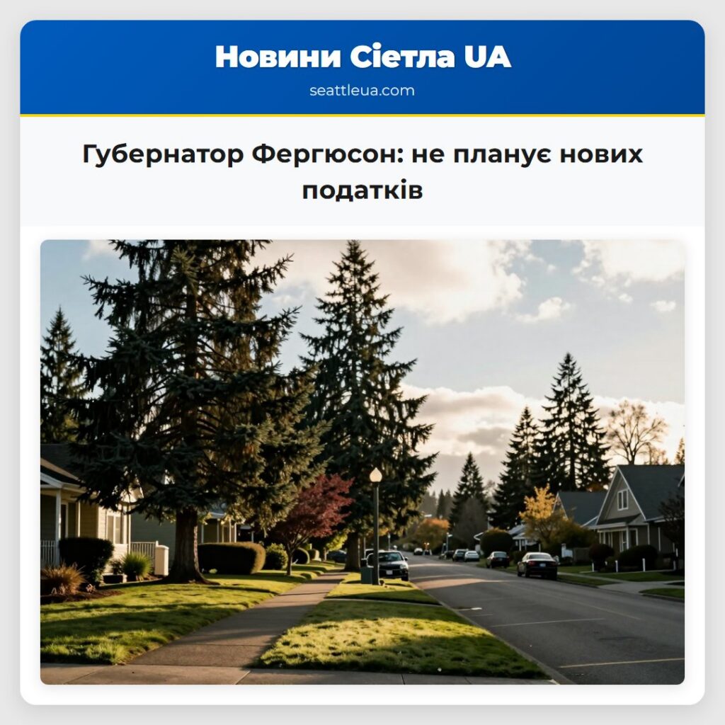 Губернатор Фергюсон: не планує нових податків