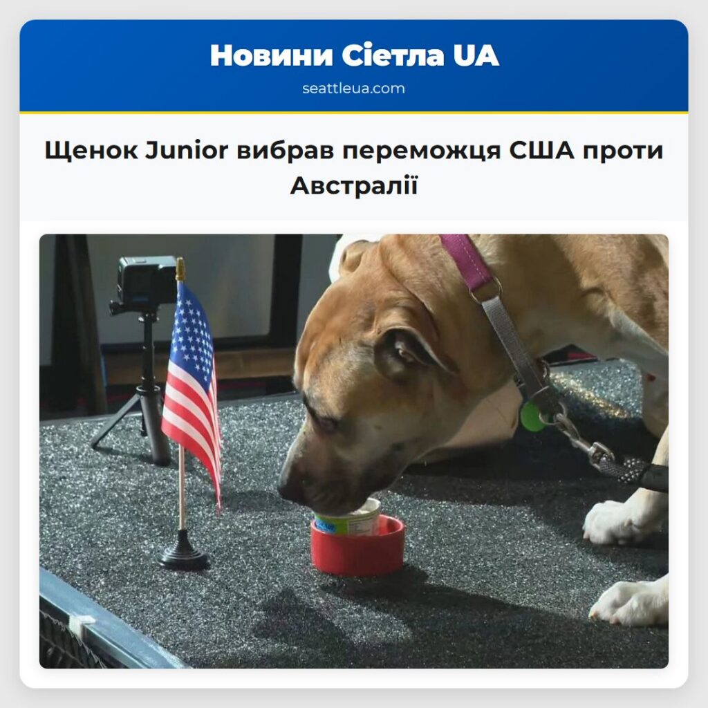 Щенок Junior вибрав переможця США проти Австралії