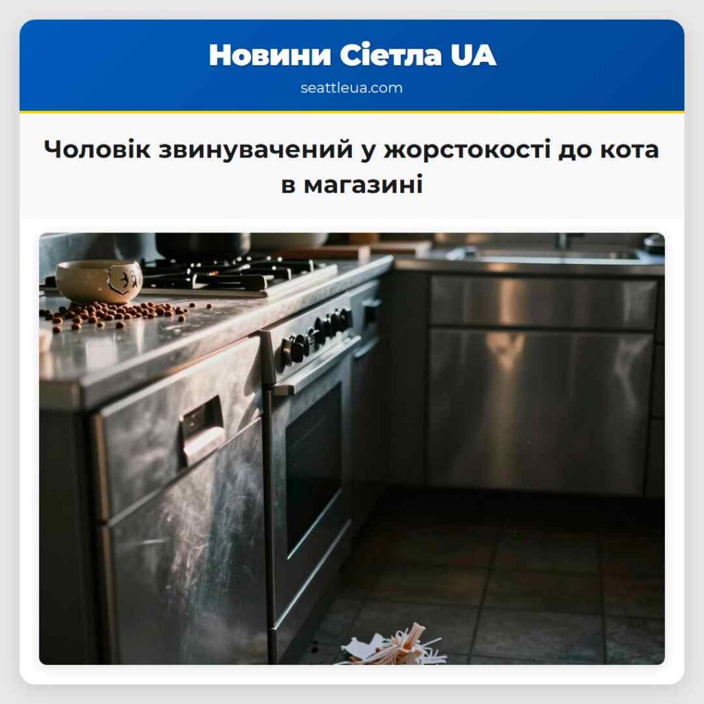 Чоловік звинувачений у жорстокості до кота в