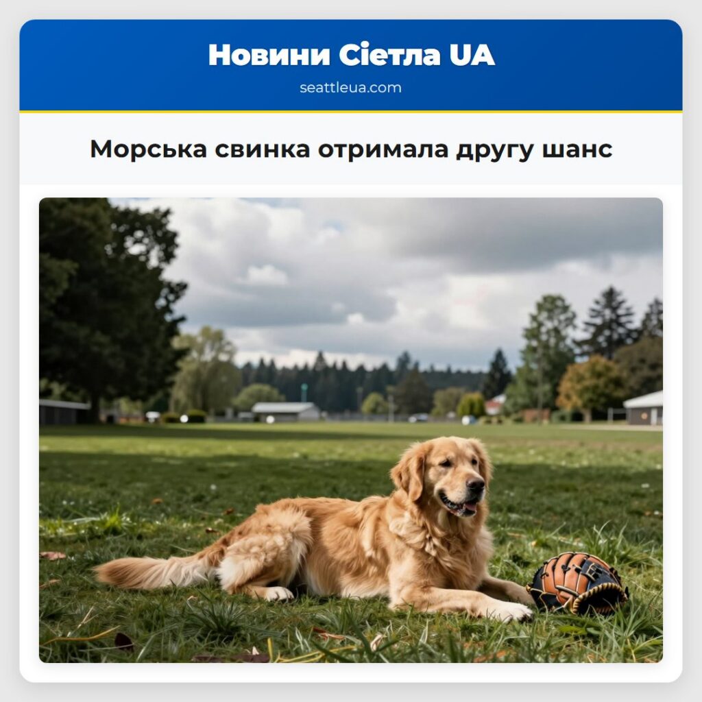 Морська свинка отримала другу шанс