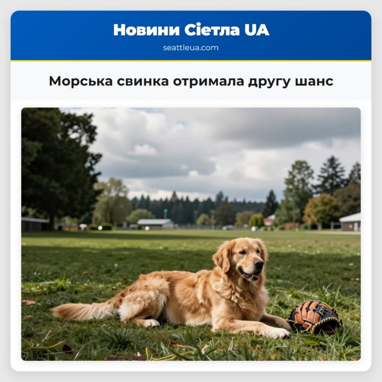 Морська свинка отримала другу шанс