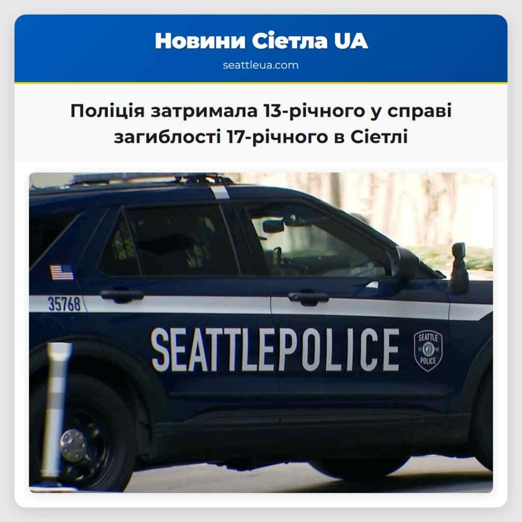 Поліція затримала 13-річного у справі загиблості