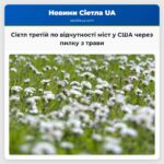 Сієтл третій по відчутності міст у США через пилку з трави