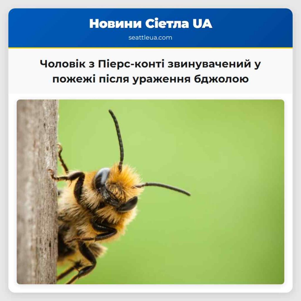Чоловік з Піерс-конті звинувачений у пожежі після