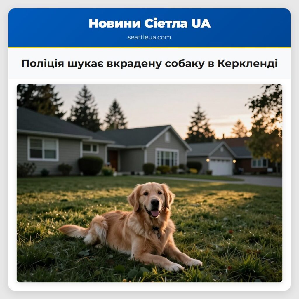 Поліція шукає вкрадену собаку в Керкленді
