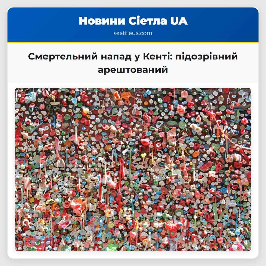 Смертельний напад у Кенті: підозрівний арештований