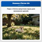 Пара з Сіетла запустила групу для виховання щенків